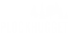 Plockhugget-logga-vit-1024x494