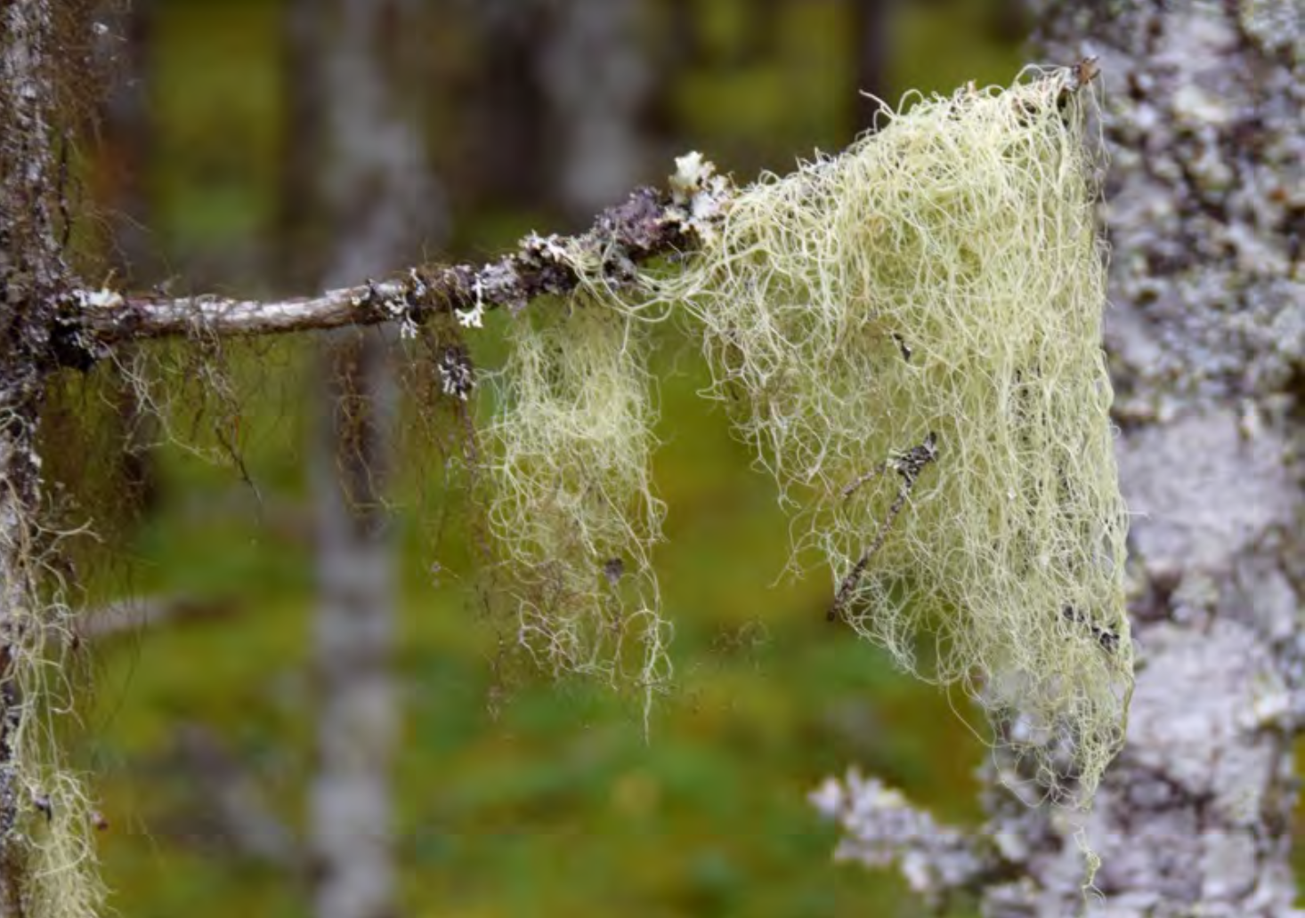 Skärmavbild 2025-11-25 kl. 08.48.46