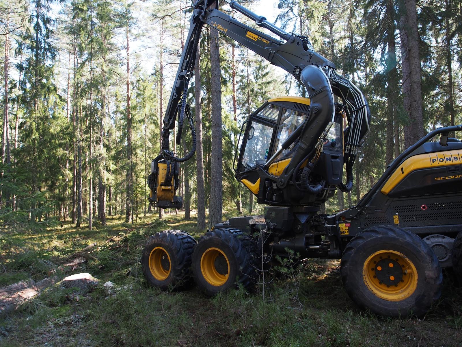 forest_machine_optimized