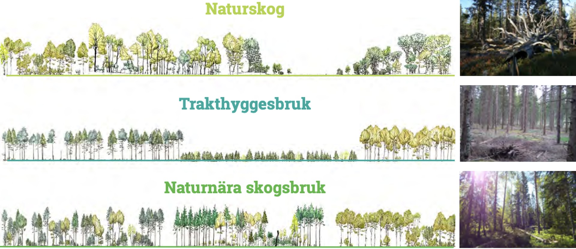 illustration_web_optimized