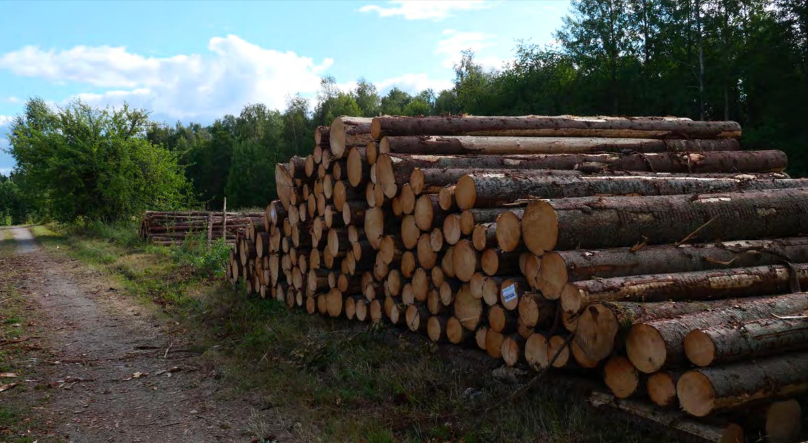 optimized_1 optimized_1