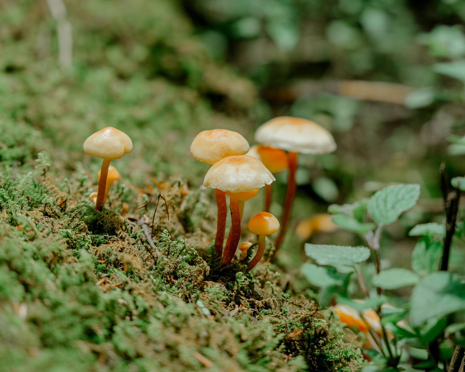 pexels-viridianaor-12880779-2