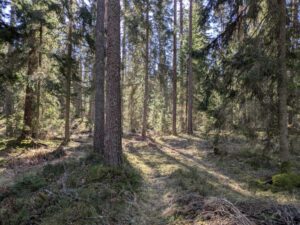 PXL_20260401_083433974