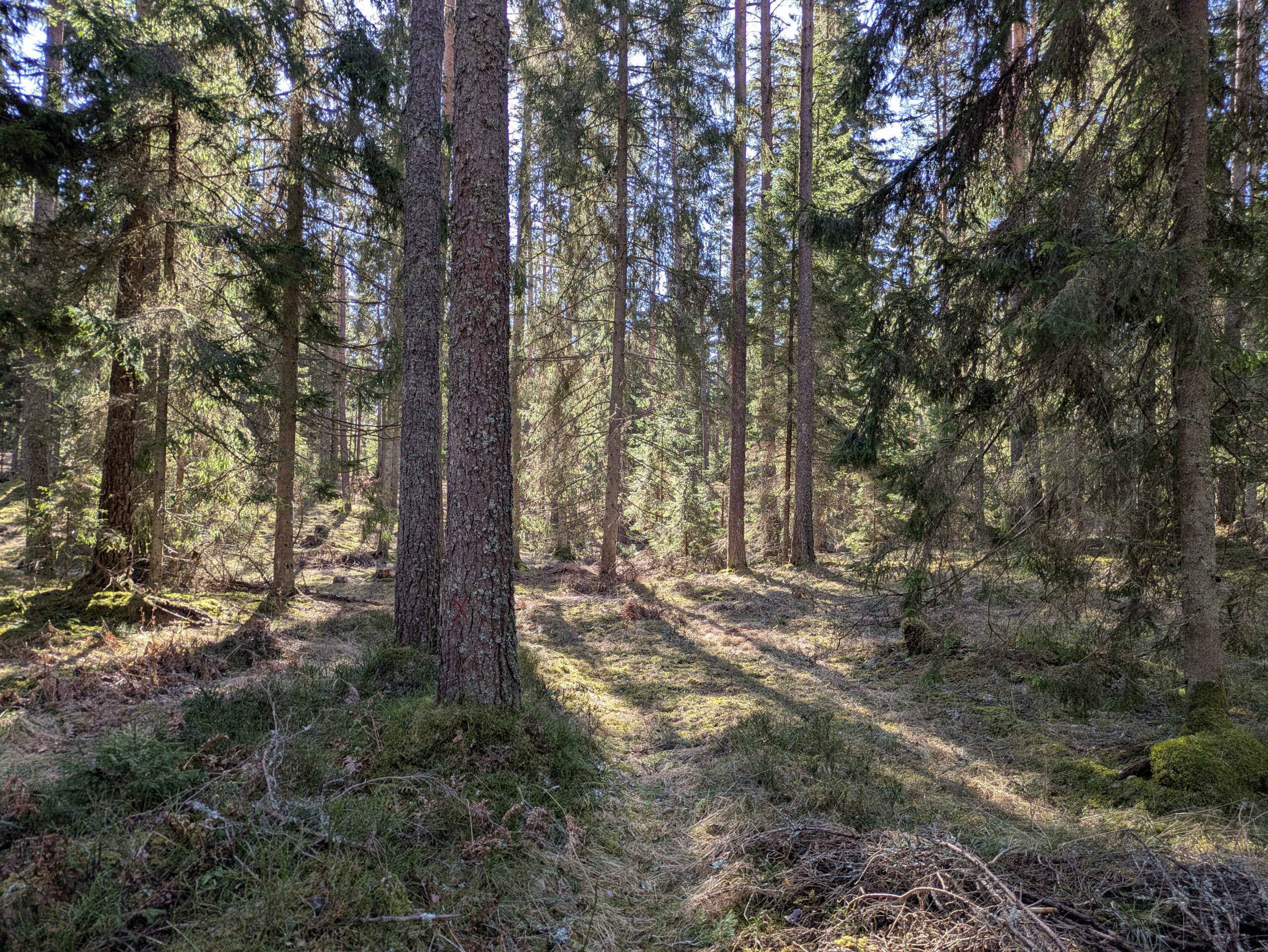 PXL_20260401_083433974